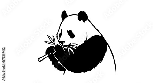 panda eating bamboo illustration black and white silhouette, cute animal graphic