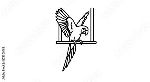 parrot in cage line art bird, animal, pet, nature, graphic, illustration, design