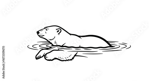 polar bear swimming in water, arctic animal, black and white illustration, wildlife, nature