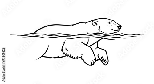 polar bear swimming in water, arctic animal, wildlife, nature illustration, black and white line art