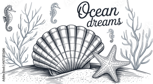 Hand drawn seahorses starfish shell and coral on sandy seabed with ocean dreams text seashell scallop shell