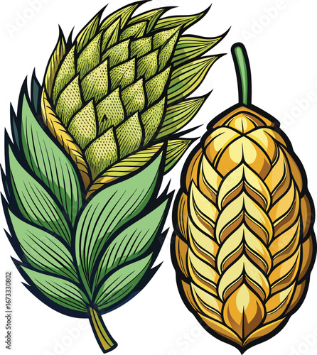 Detailed Illustration of Green and Golden Hops with Leaves, Brewing Ingredient, Botanical Art
