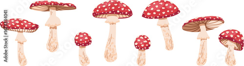 Fly Agaric Mushrooms Flat Vector Collection Isolated on White. Poisonous Fungi Illustrations for Nature Books, Educational Posters, Forest Decor, Fairy Tale Graphics. Ideal for Print Designs, Stickers