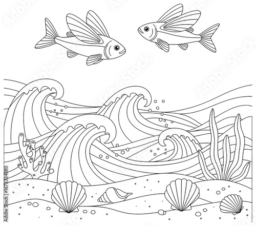 Fish vector illustration featuring two flying fishes above ocean waves with seaweed, corals, bubbles, and seashells in a clean cartoon line art style perfect for coloring book designs and artworks