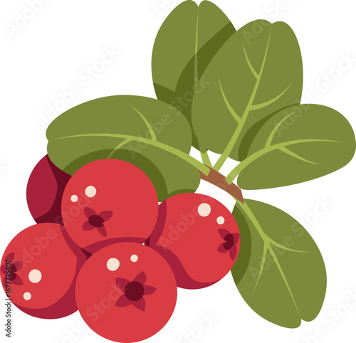 Lingonberry Flat Vector Illustration with Leaves Isolated on White. Autumn Berry Design for Seasonal Packaging, Healthy Food Labels, Jam Brands, Eco-Friendly Products. Ideal for sticker, icon, logo