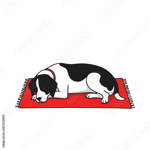 Relaxed dog sleeping on red rug, minimalist home comfort