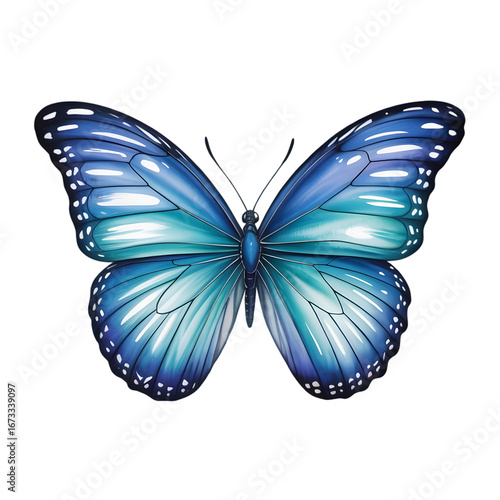 Watercolor illustration of a beautiful blue butterfly with detailed wings isolated on transparent background