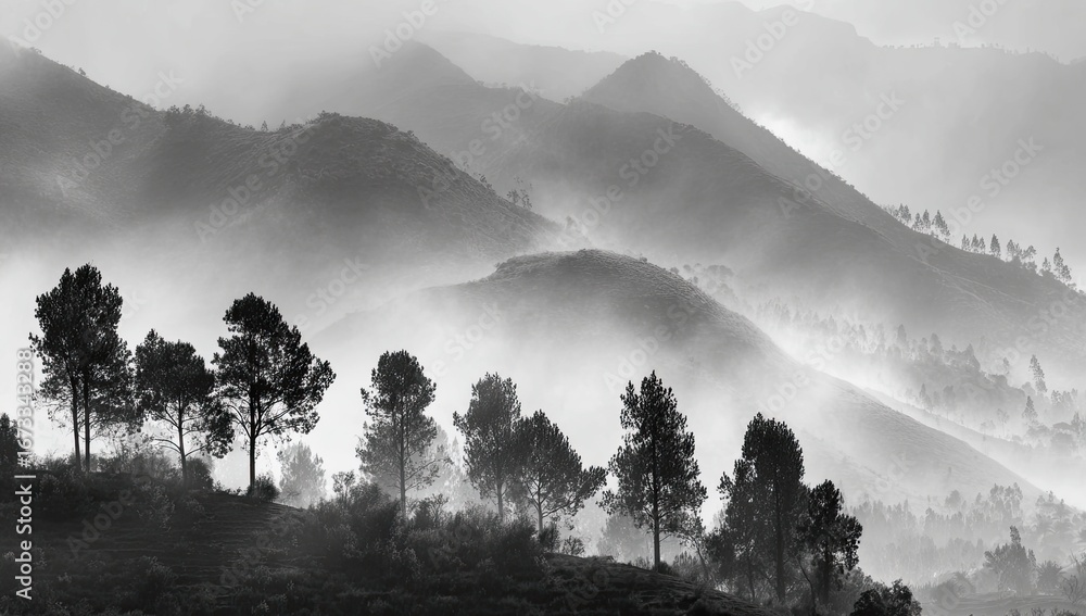 Fototapeta premium Misty mountain range, trees silhouetted against fog