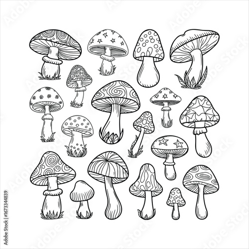 mushrooms vector illustration