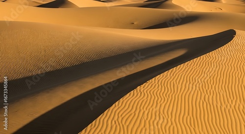 sand dunes in the desert