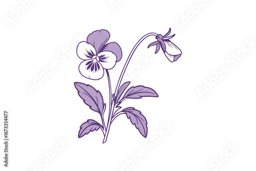 single pansy flower outline clip art silhouette vector illustration on white background
