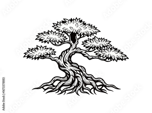 Black and white bonsai tree illustration