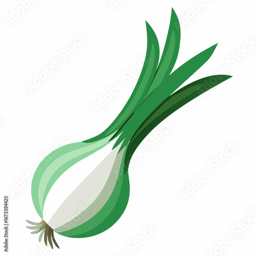 Vector art of fresh spring onion with green leaves, a healthy flavorful ingredient