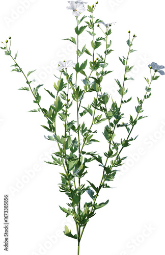 Wallpaper Mural Transparent flower, plant, isolated, white, pink, nature, green, leaf, floral, purple, bloom, flowers, spring, white background, flora, blossom, petal, stem, summer, natural, bouquet, botanical Torontodigital.ca