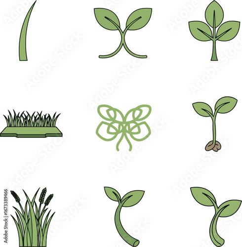 Detailed vector illustration of a botanical plant specimen with vibrant color accents