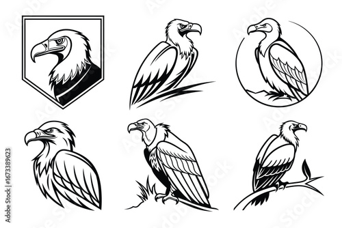Dynamic eagle and vulture emblems capture powerful spirit and wild nature, perfect for sports teams, brands, and protective symbols