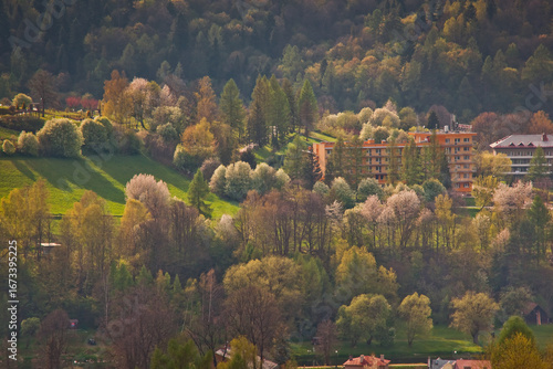 Fototapeta Naklejka Na Ścianę i Meble -  Panorama Muszyny spod Malnika w piękny, wiosenny dzień.