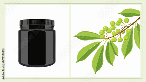 Black Jar with Foliage Illustration.