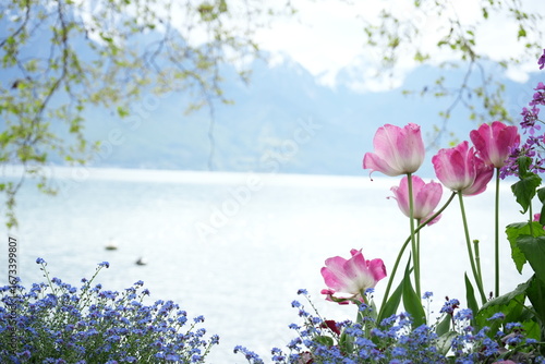 spring flowers on the river and mountains