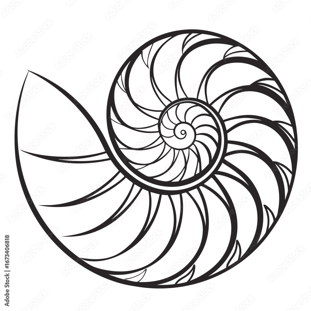 Obraz premium Illustration of a nautilus shell with a spiral pattern in black and white on a plain background design created with generated ai