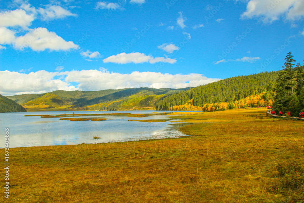 Obraz premium Golden forests surround serene alpine lakes, reflecting clouds Pudacuo National Park, Yunnan, China, Shangri-La, lake