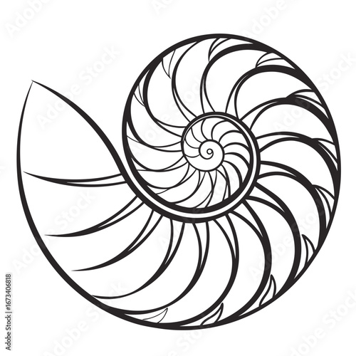 Illustration of a nautilus shell with a spiral pattern in black and white on a plain background design created with generated ai