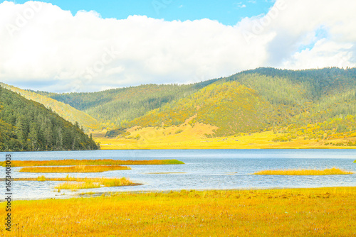 Golden forests surround serene alpine lakes, reflecting clouds Pudacuo National Park, Yunnan, China, Shangri-La, lake
