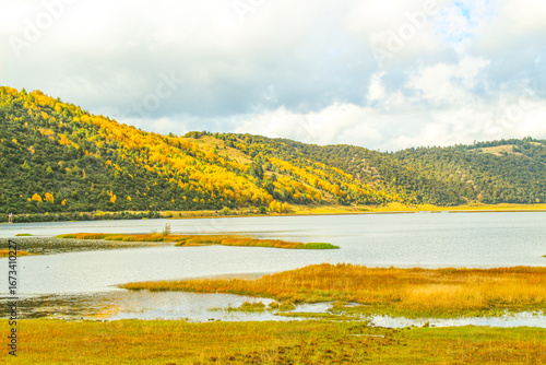 Golden forests surround serene alpine lakes, reflecting clouds Pudacuo National Park, Yunnan, China, Shangri-La, lake