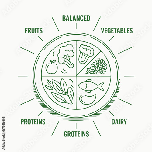 Balanced Diet Plate Diagram with Food Categories for Healthy Eating, Vector modern illustration