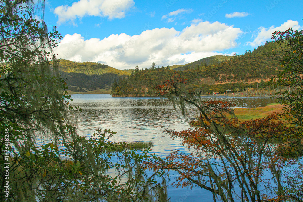 Fototapeta premium Golden forests surround serene alpine lakes, reflecting clouds Pudacuo National Park, Yunnan, China, Shangri-La, lake