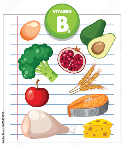 Vitamin B5 Rich Foods Vector Illustration on Lined Paper