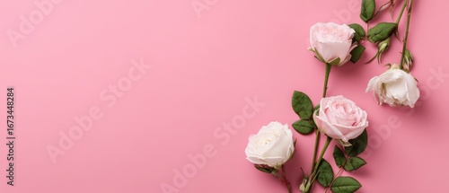 Elegant bouquet of pink and white roses arranged on pastel pink background perfect for romantic and floral themes