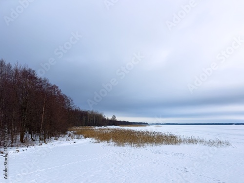 A wide-angle shot captures the serene, snow-covered shoreline of a frozen lake under a soft, overcast sky in winter. Bare trees with reddish-brown branches line the left, contrasting with the golden