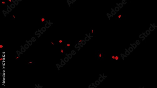 A romantic 3D red rose petal transition effect on a transparent background. This elegant alpha wipe is perfect for revealing scenes with a touch of love and beauty.