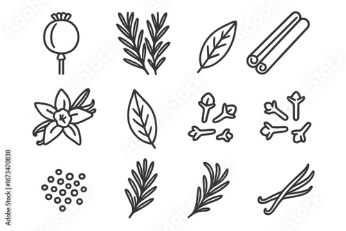 Vector art of popular spices and plants in floral design