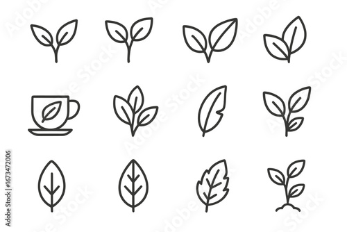 Illustrations of leaves and plants suitable for eco-friendly designs