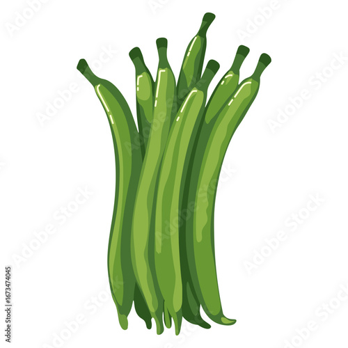 Green beans vegetable illustration, fresh organic clipart for cooking, salad, gardening, nutrition, diet, farming, vegetarian meals, and market.