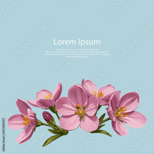 엘레강스한 핑크색 꽃 배너