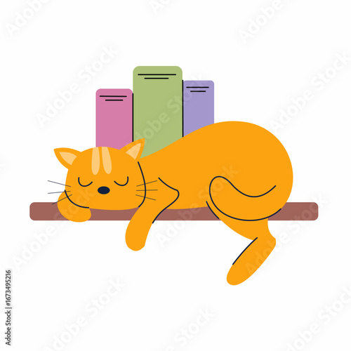cat sleeps on shelf with books. Vector illustration on white background
