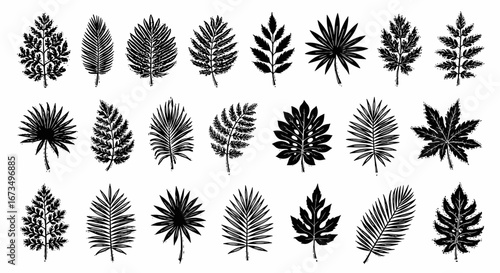 set of leaves