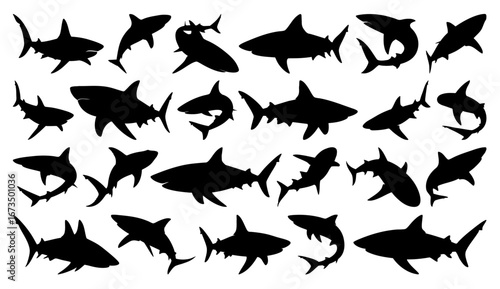 Shark Vector Silhouette Big Collection, Black Shark Icons, Transparent Background