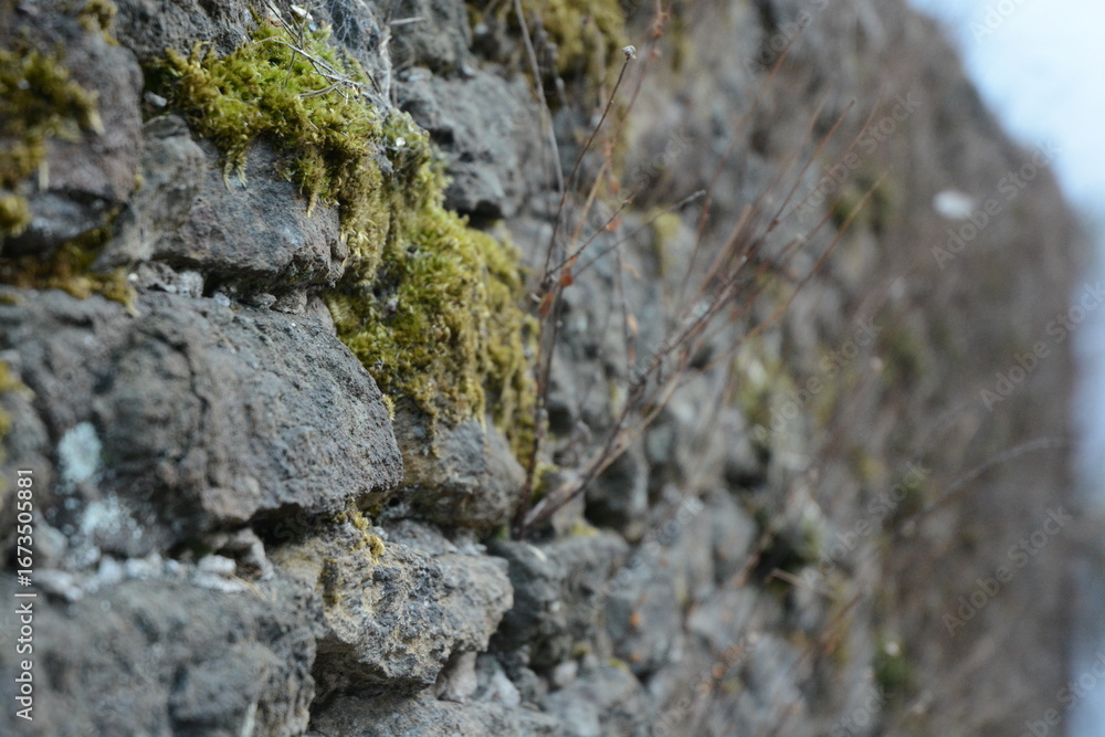 Obraz premium Close-up of an old stone wall with vibrant green moss and small plants growing from the cracks. The shallow depth of field adds a natural, artistic feel.