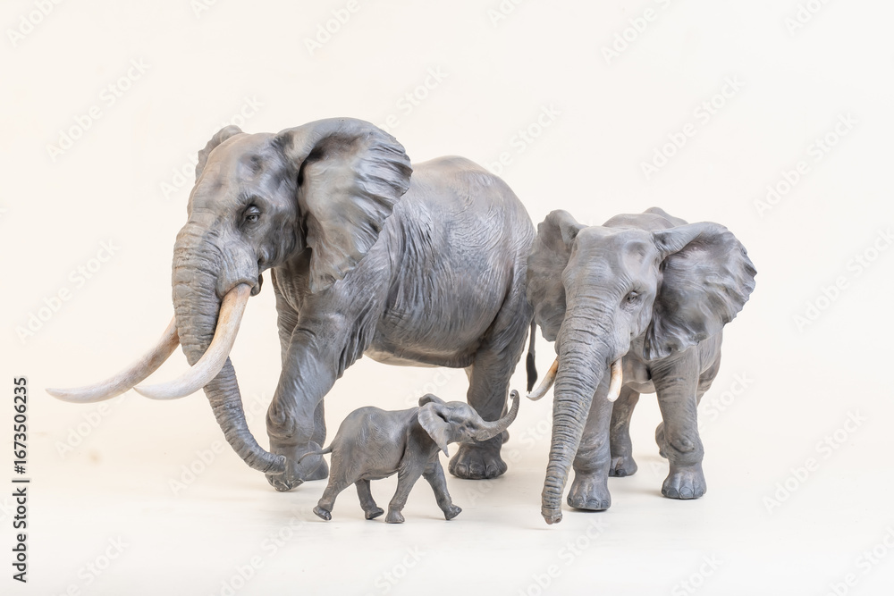 Fototapeta premium African elephant on isolated background
