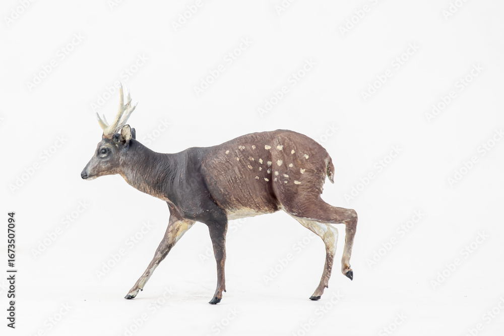 Fototapeta premium deer animal on isolated background