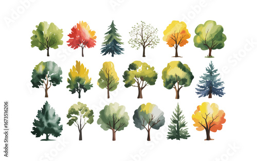 Various tree vectors. Forest and nature concept. Collection of different tree symbols. Education and training poster design. Vector drawn for plant and tree presentation.