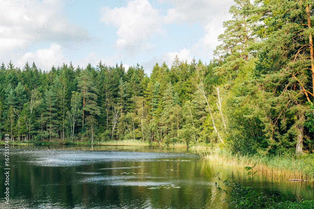 Obraz premium Tranquil Swedish Lake – Peaceful Nature Landscape