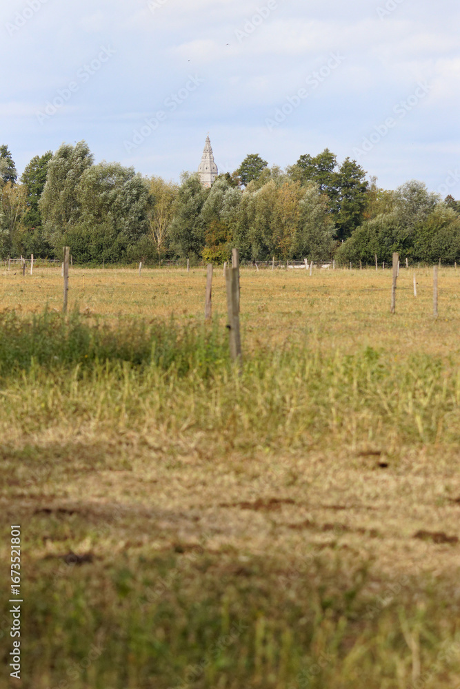 Fototapeta premium ferme 