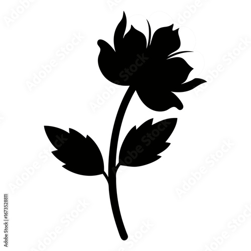 winter aconite aconite silhouette  vector on white background
