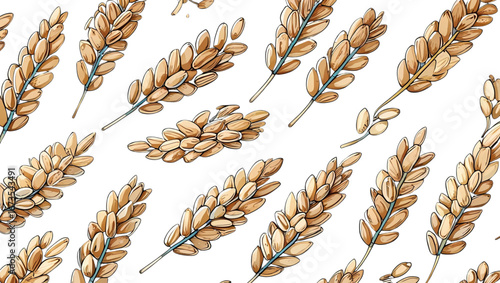 ears of wheat