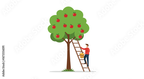 A man on a ladder picks apples from a tree with green leaves and ripe red apples